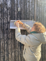 Scheunentorbild Haseleck, Wiesbaden Kloppenheim, 2026